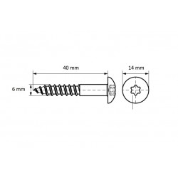 Шуруп 6x40мм Torx TX30 BIS RapidRail, Walraven